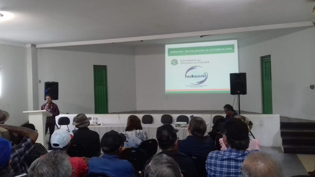 Seminário discute revitalização da cotonicultura
