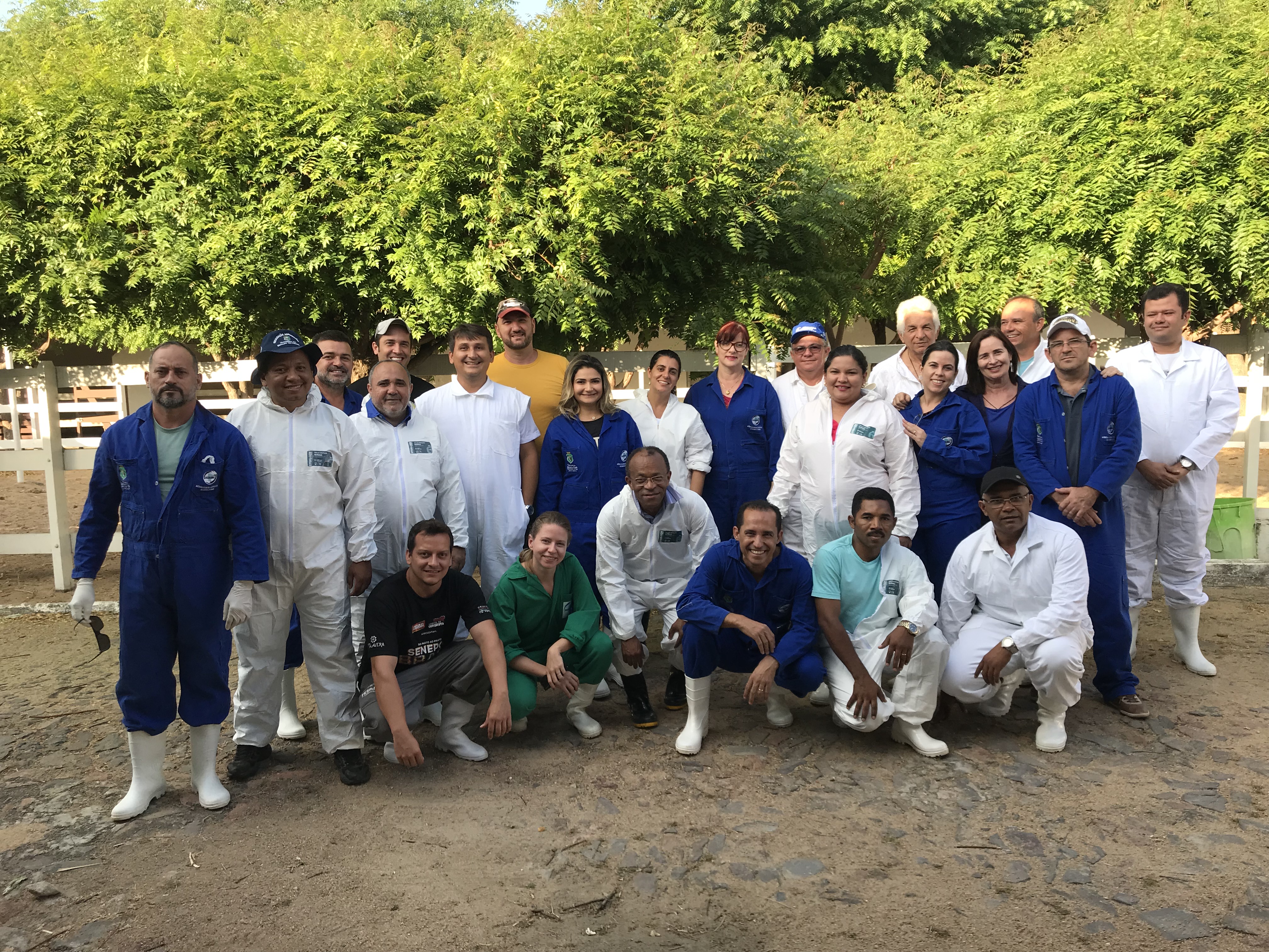 Serviço Veterinário Oficial intensifica ações para erradicação da peste suína