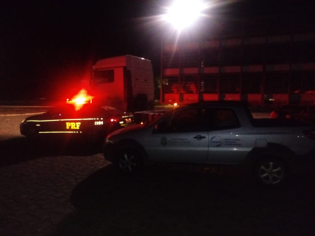 Adagri e Sefaz flagram carga irregular de suínos