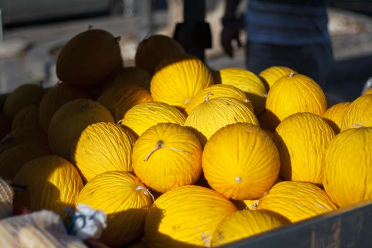 CEARÁ SE PREPARA PARA EXPORTAR MELÃO PARA CHINA