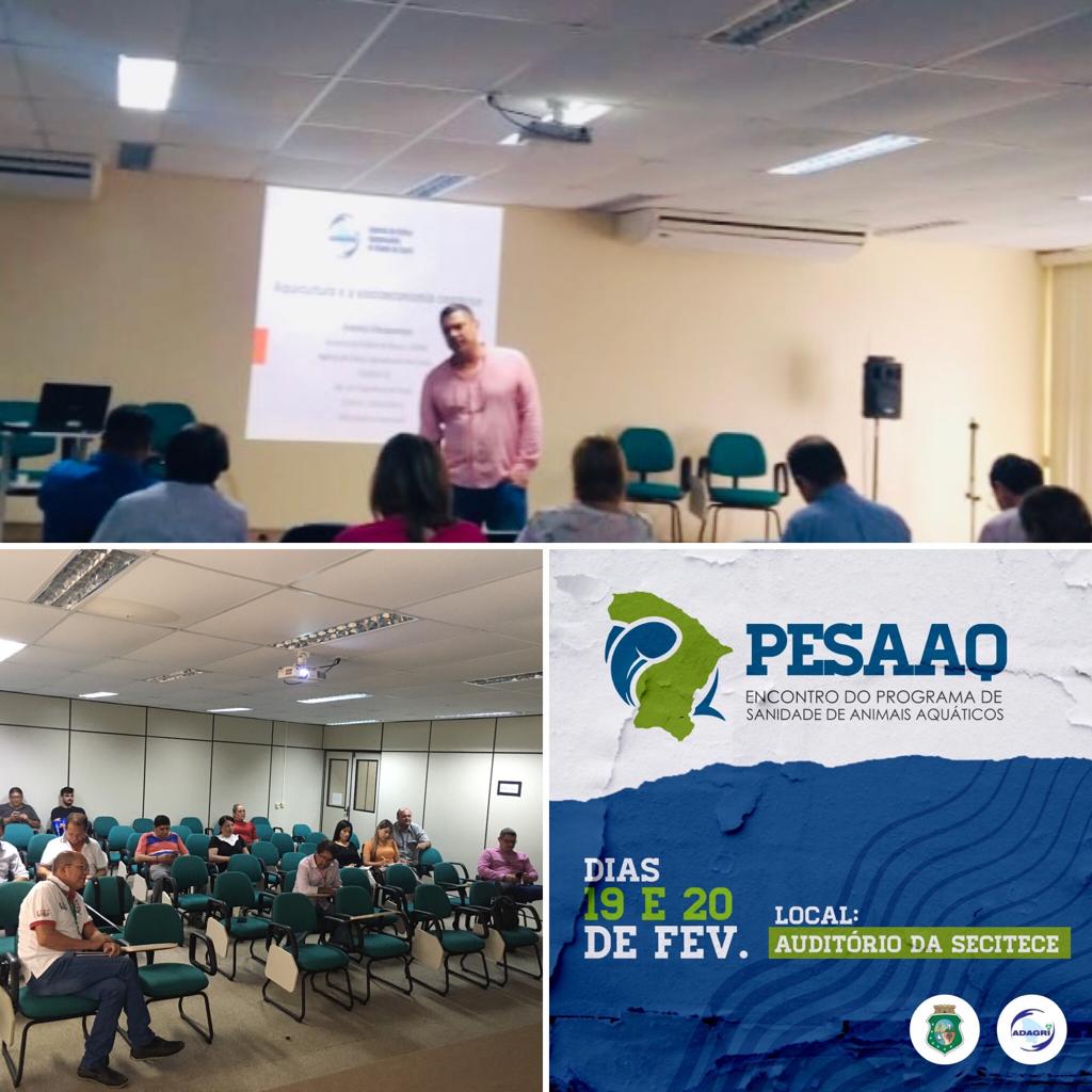ENCONTRO TÉCNICO DO PESAAq