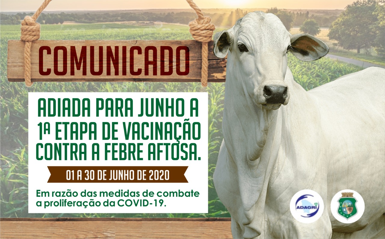 Campanha de Vacinação Contra a Febre Aftosa acontecerá no período ...