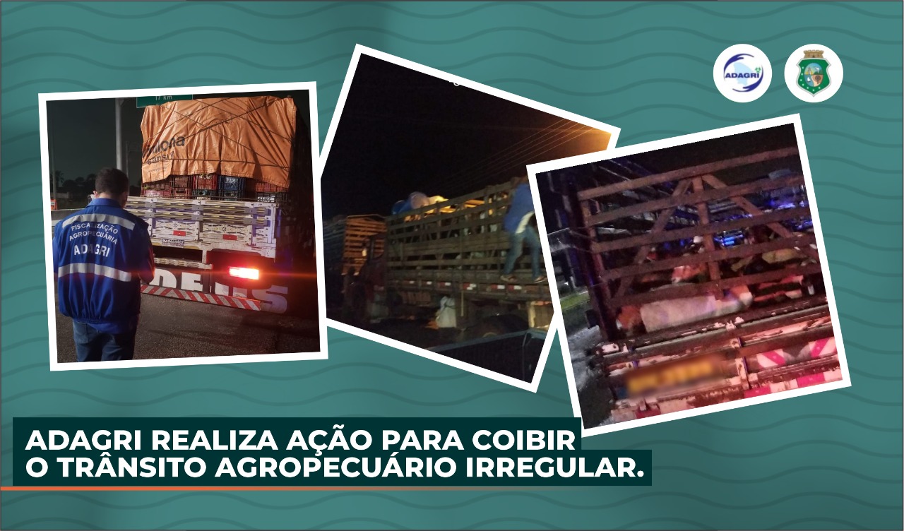 ADAGRI realiza ação para coibir o trânsito agropecuário irregular