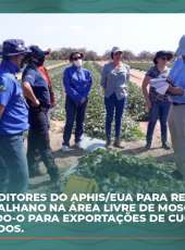 Adagri recebe auditores do APHIS/USDA para reconhecimento de Palhano como área livre de moscas das frutas – ”Anastrepha grandis”