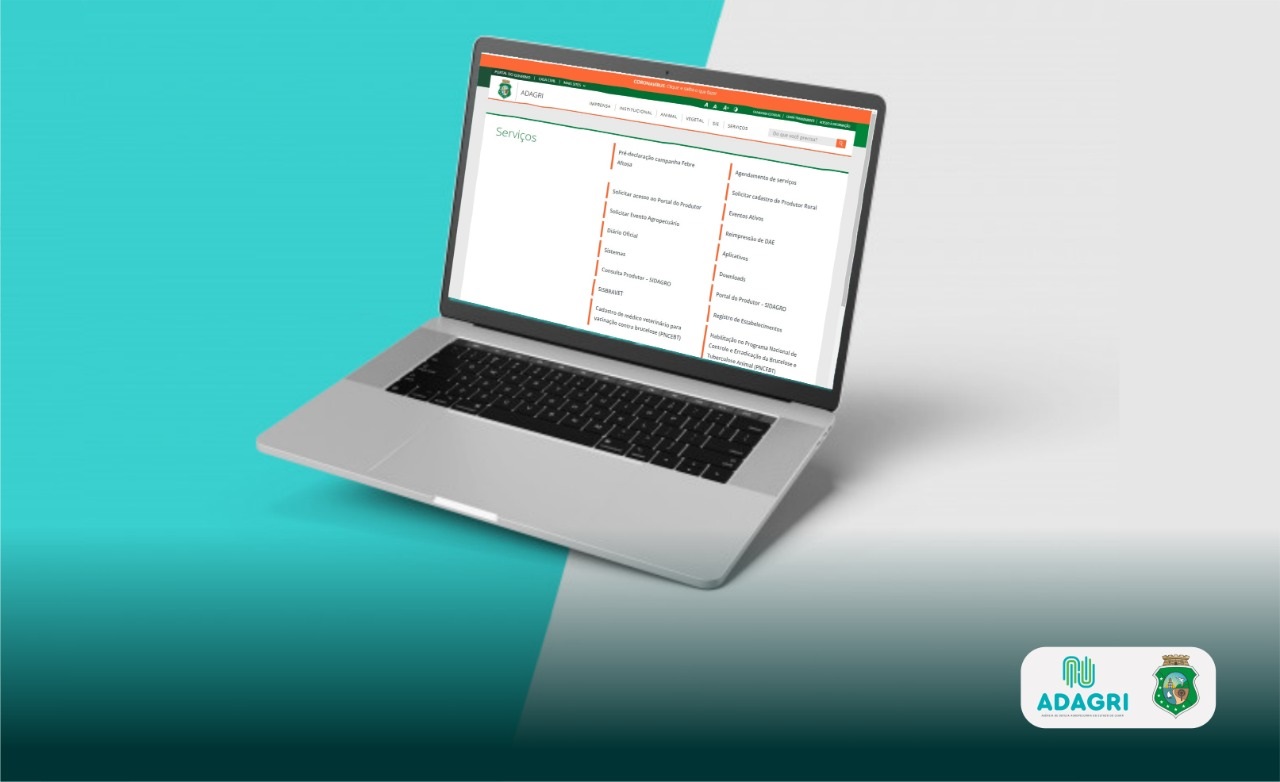 Cadastramento para realização de vacina contra Brucelose está disponível no site da Adagri