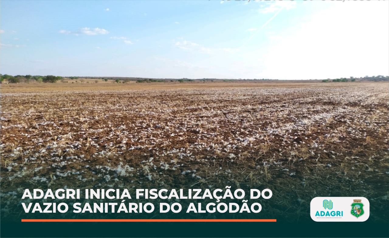Adagri inicia fiscalização do Vazio Sanitário do Algodão