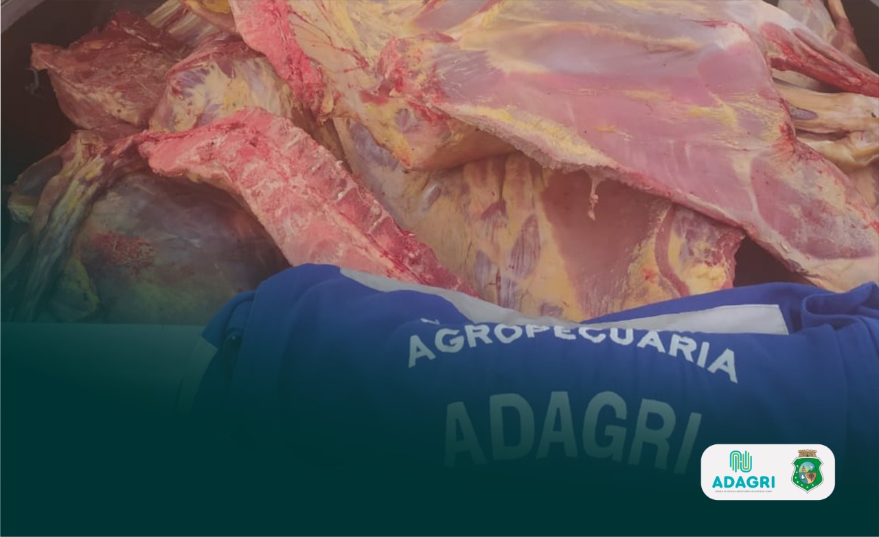 Adagri realizou sete blitzes de fiscalização do trânsito de animais e vegetais