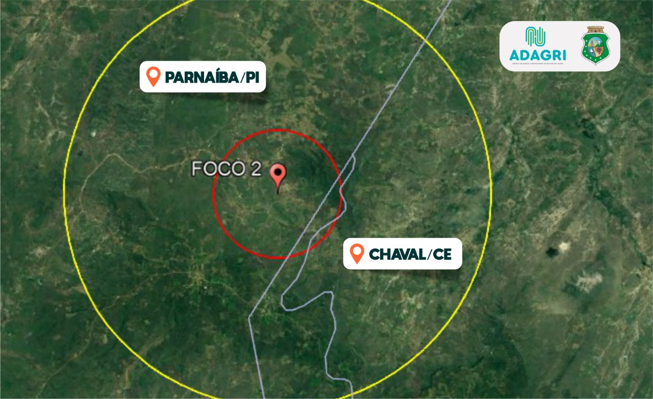 Adagri alerta produtores cearenses quanto a confirmação de Peste Suína Clássica no Piauí