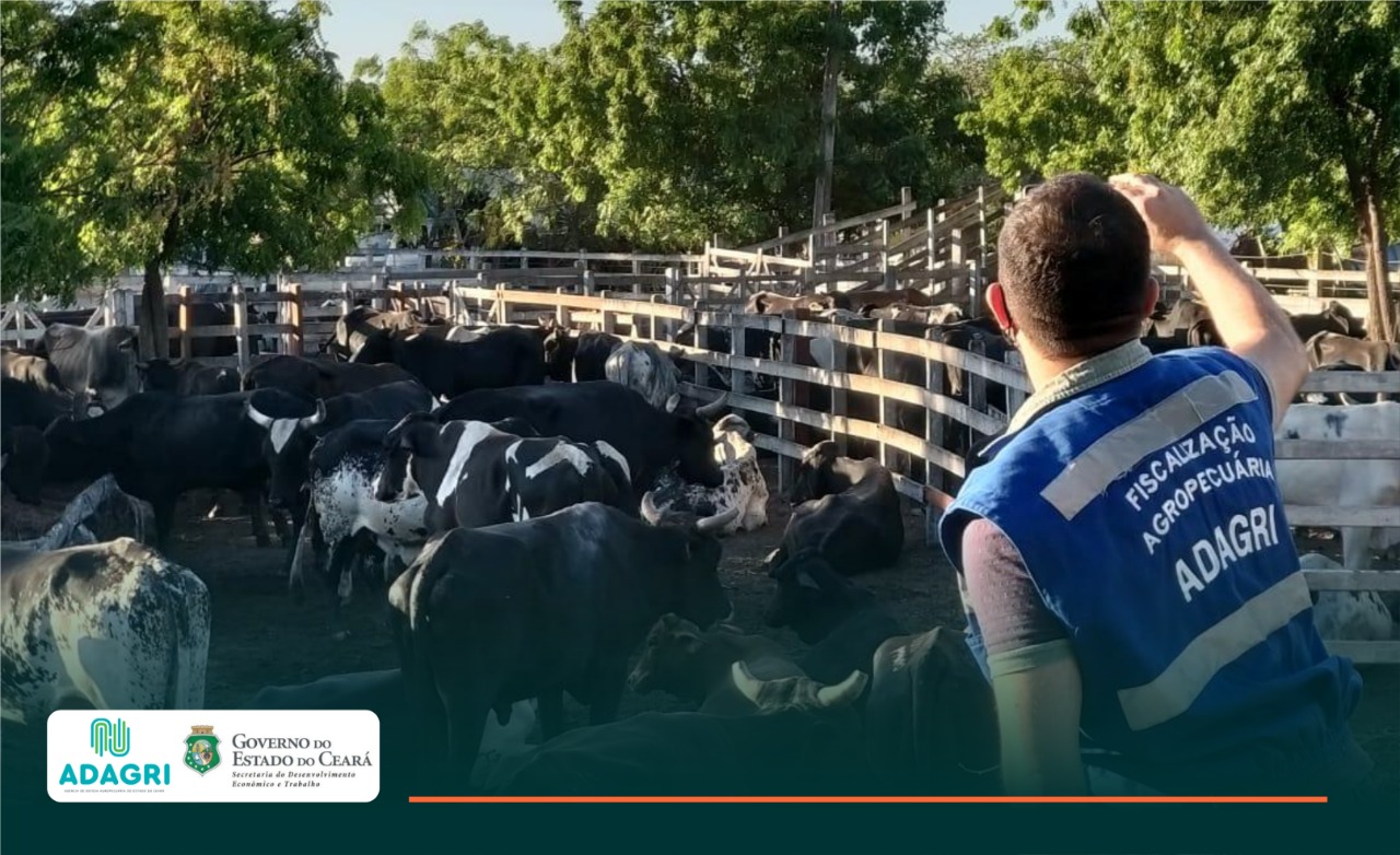 Adagri volta a fiscalizar eventos agropecuários