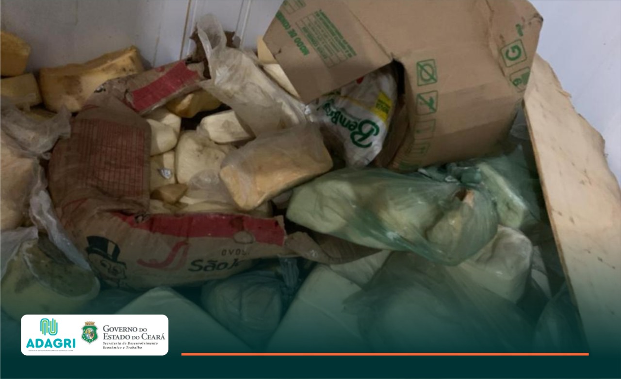 Adagri apreende e encaminha para análise 50 toneladas de queijo encontradas em depósito clandestino