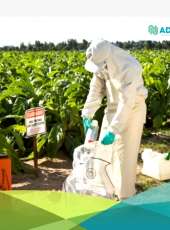 Recebimento Itinerante de Embalagens Vazias de Agrotóxicos tem início no Ceará