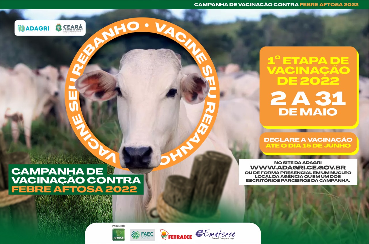 Campanha contra Febre Aftosa se encerra nesta terça-feira (31)