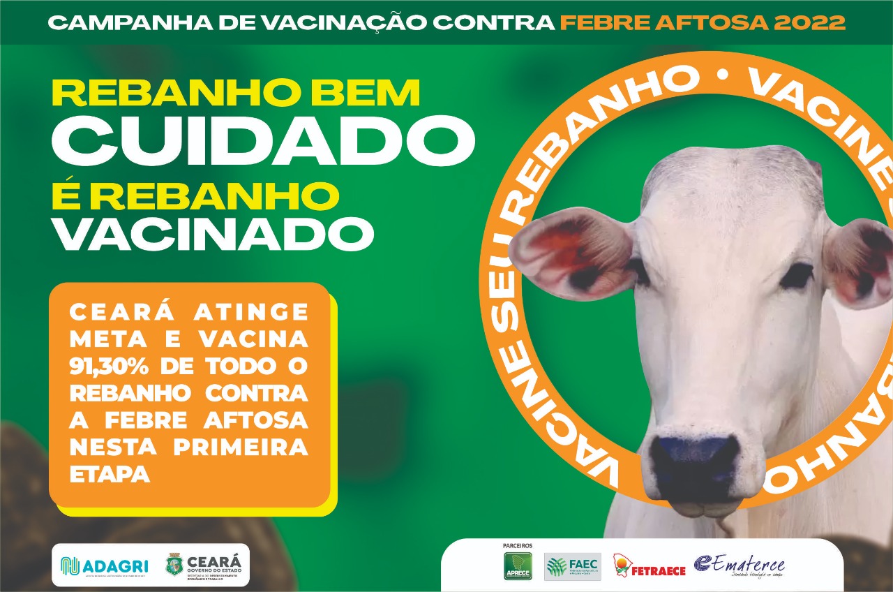 Ceará atinge meta e vacina 91,30% de todo o rebanho contra a Febre Aftosa