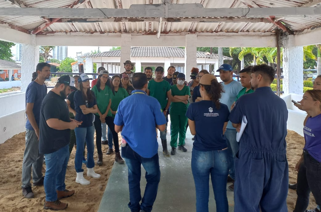 Adagri participa da 66ª edição da Expoece com ações de fiscalização e inspeção dos animais