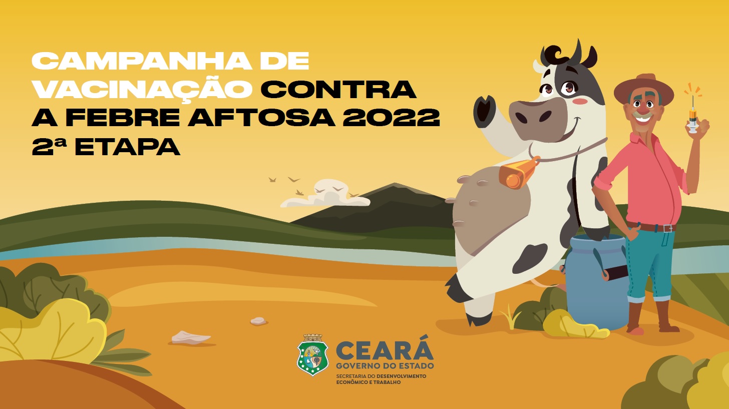 Segunda etapa da Campanha de Vacinação contra Febre Aftosa no Ceará começará no próximo dia 11 de novembro