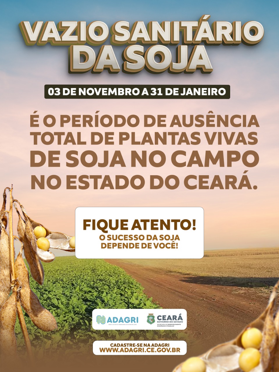 Vazio Sanitário da Soja segue até o dia 31 de janeiro de 2023