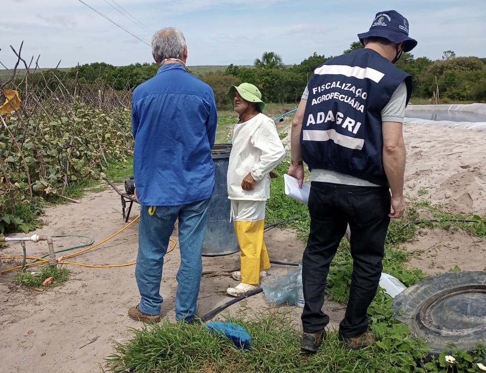 Adagri capacita servidores para a padronização em fiscalização do uso de agrotóxicos