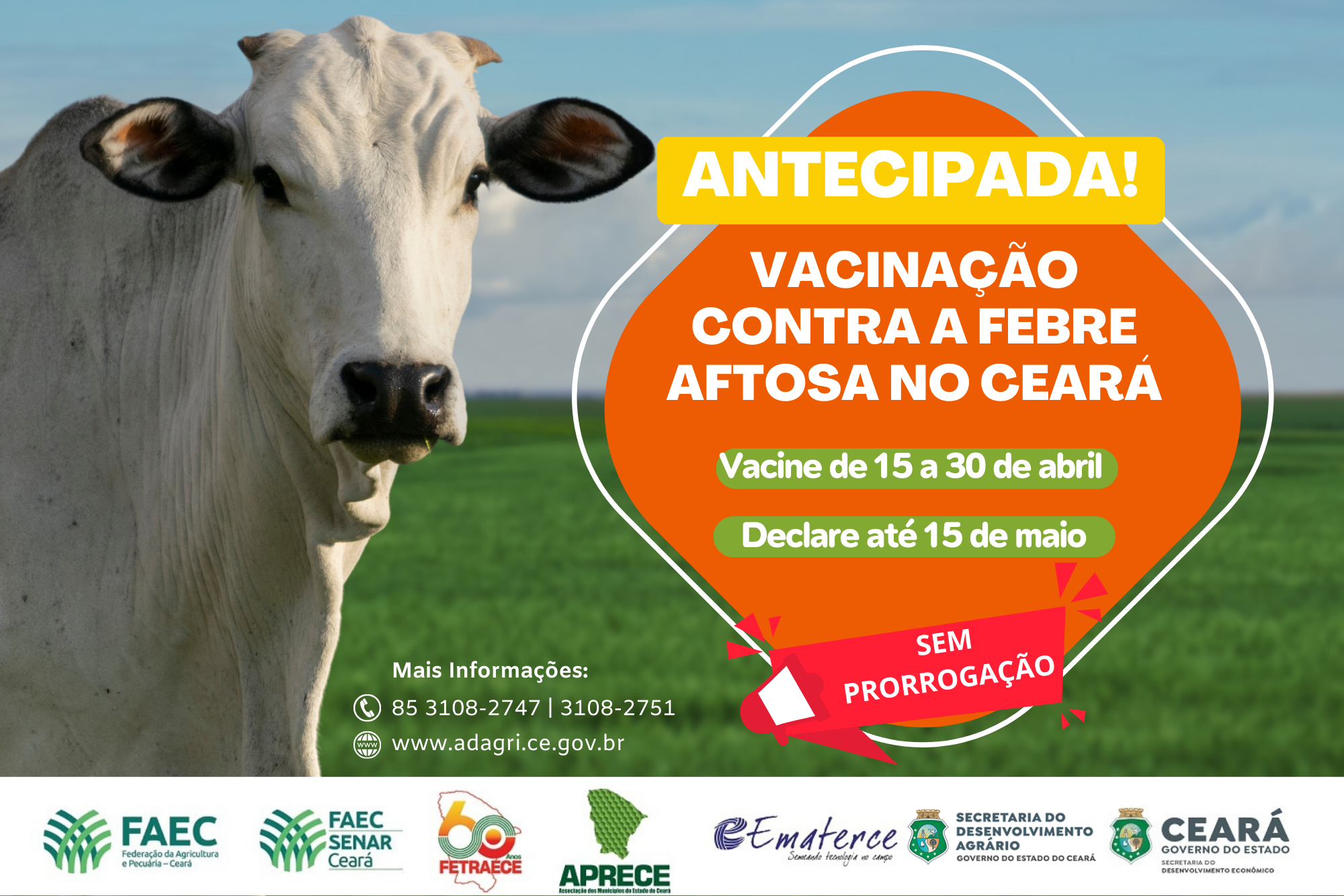 Ceará antecipa para esta segunda-feira (15) vacinação contra a Febre Aftosa de forma emergencial