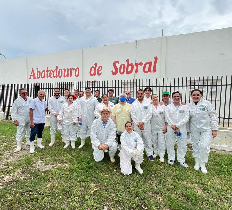 Agentes e auditores fiscais da Adagri participam de treinamento para Peste Suína Clássica