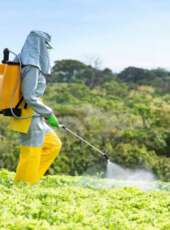 Recebimento Itinerante de Embalagens Vazias de Agrotóxicos (RI) 2026 começa neste mês de março; confira o calendário