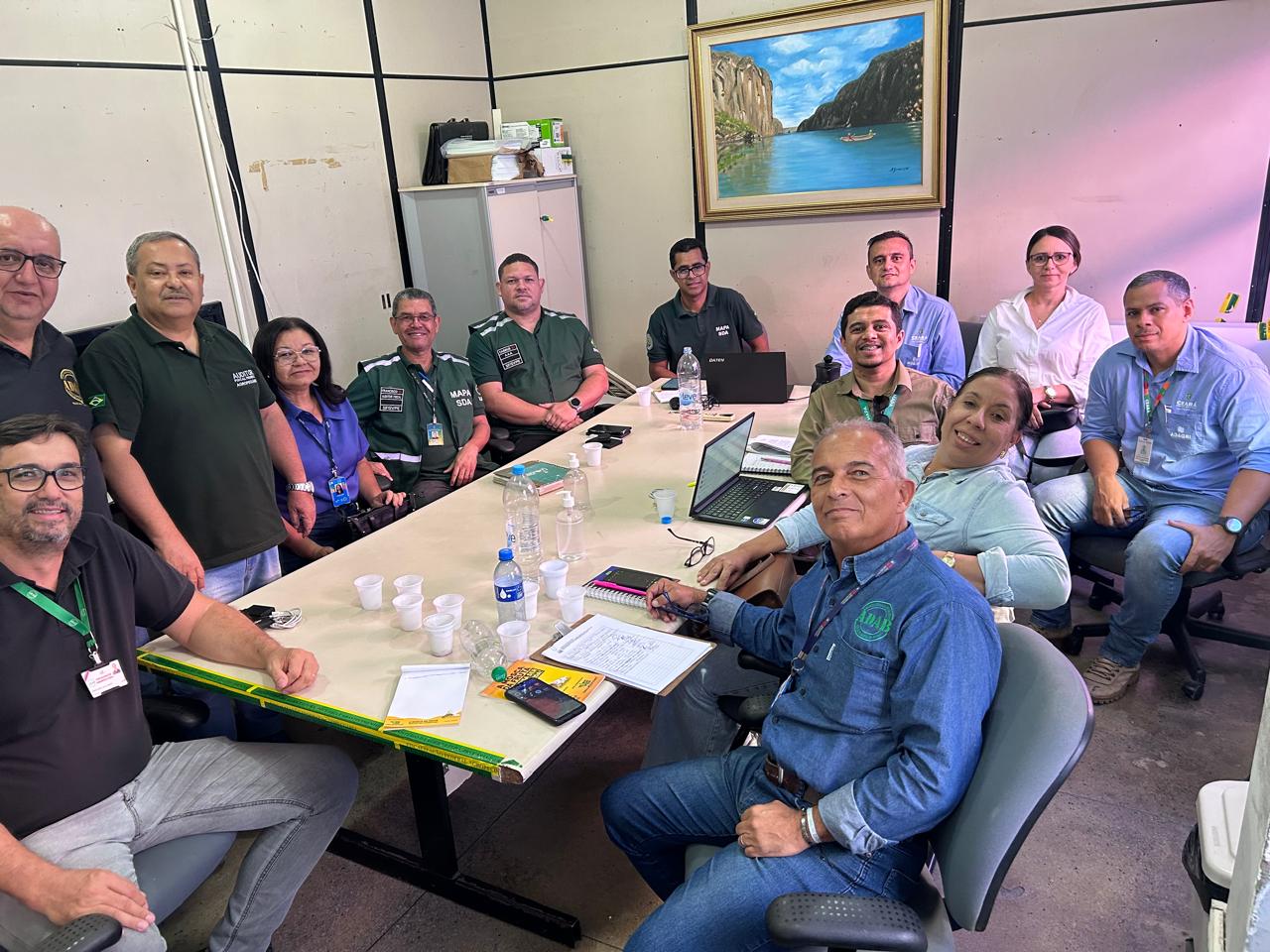 Adagri participa de Reunião Técnica sobre Exportação de Manga para os Estados Unidos